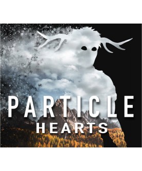Particle Hearts Steam Key GLOBAL
